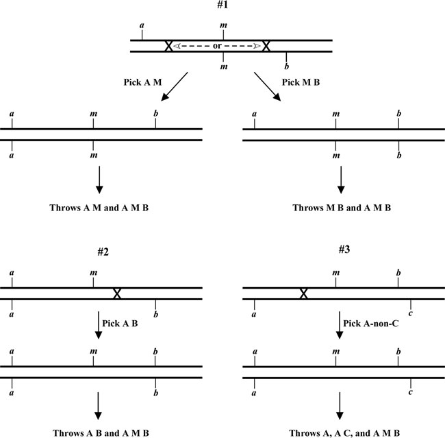  SNPs: three-point mapping Figure 5-1
