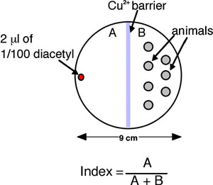 WormBook Behavior figure 2