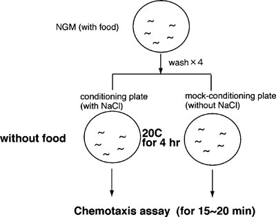 WormBook Behavior figure 3