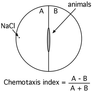 WormBook Behavior figure 4