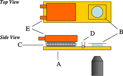 WormBook Behavior figure 5