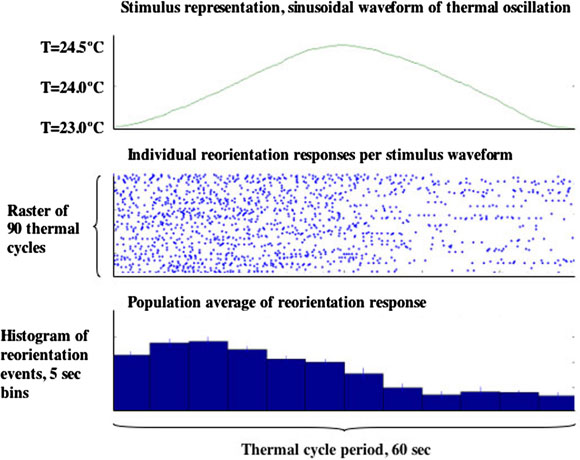WormBook Behavior figure 7