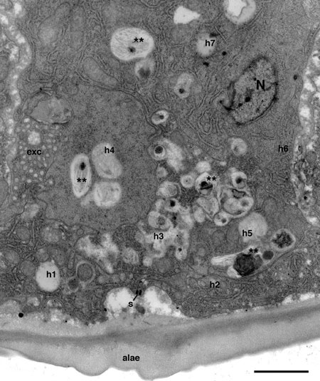  figure 18