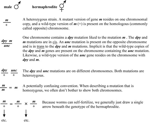 Introduction and basics Figure 1-1
