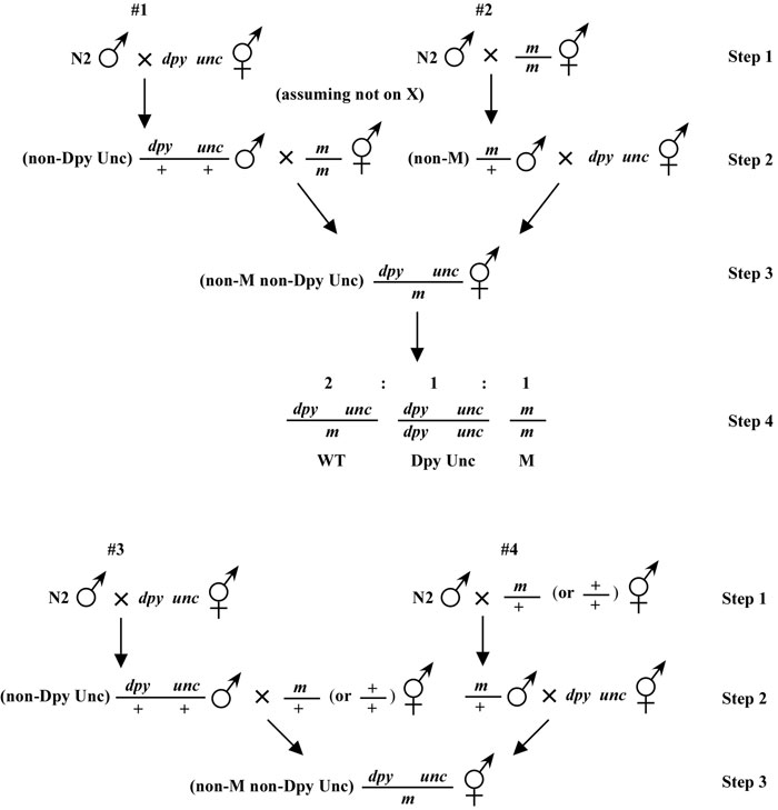 Introduction and basics Figure 1-3