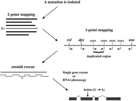 Introduction and basics Figure 1-4