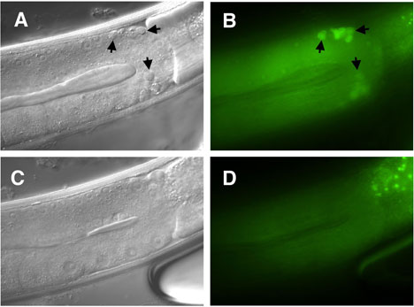  figure 14