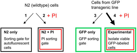  figure 21