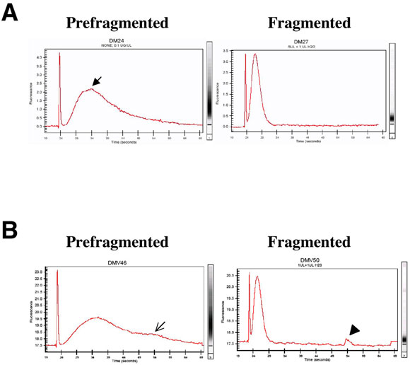 figure 22